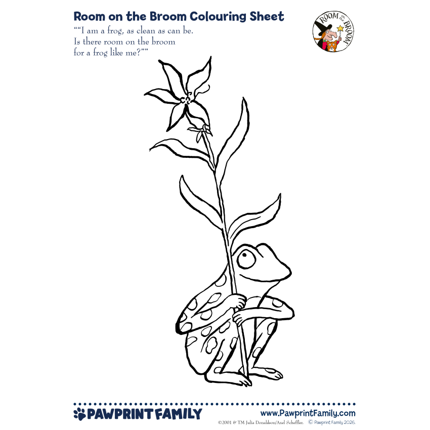 Photograph: Room on the Broom Colouring Sheet - Frog