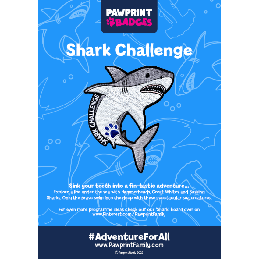 Photograph: Shark Challenge Pack