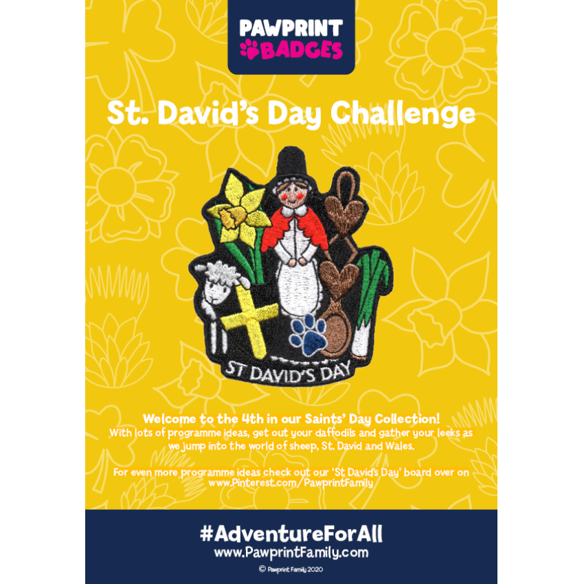 Photograph: St. David’s Day Challenge Pack