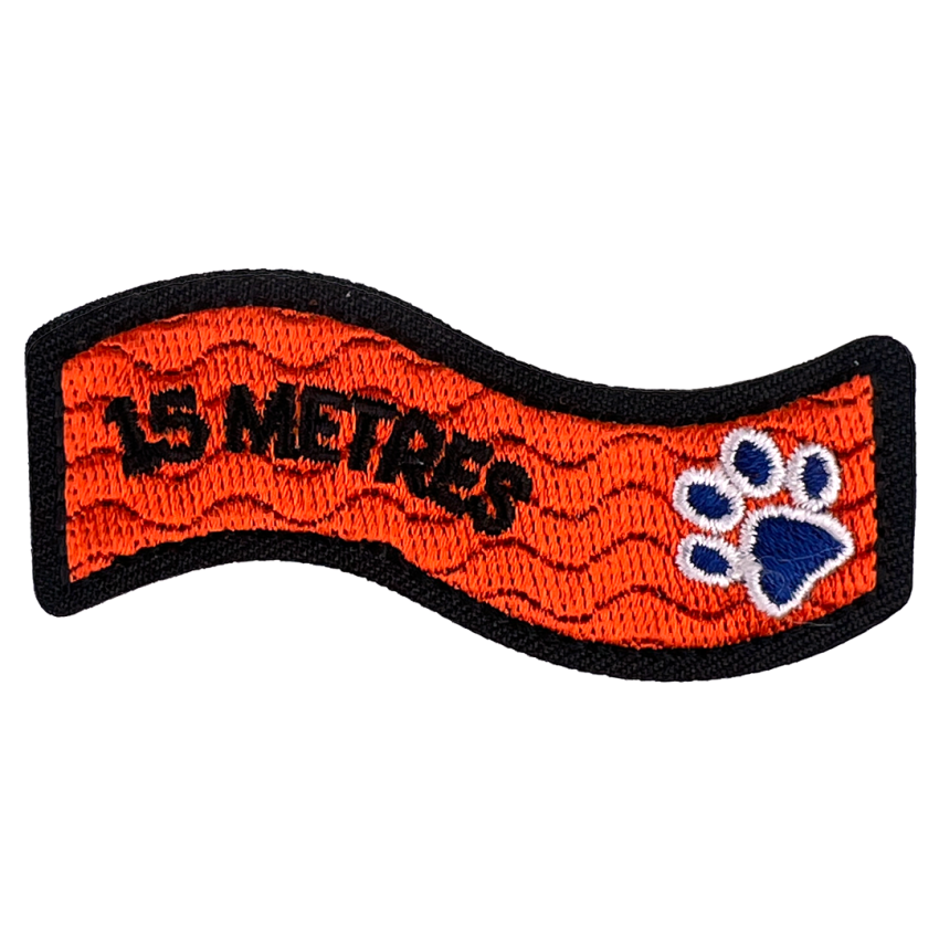 Photograph: Swimming Milestone - 15m