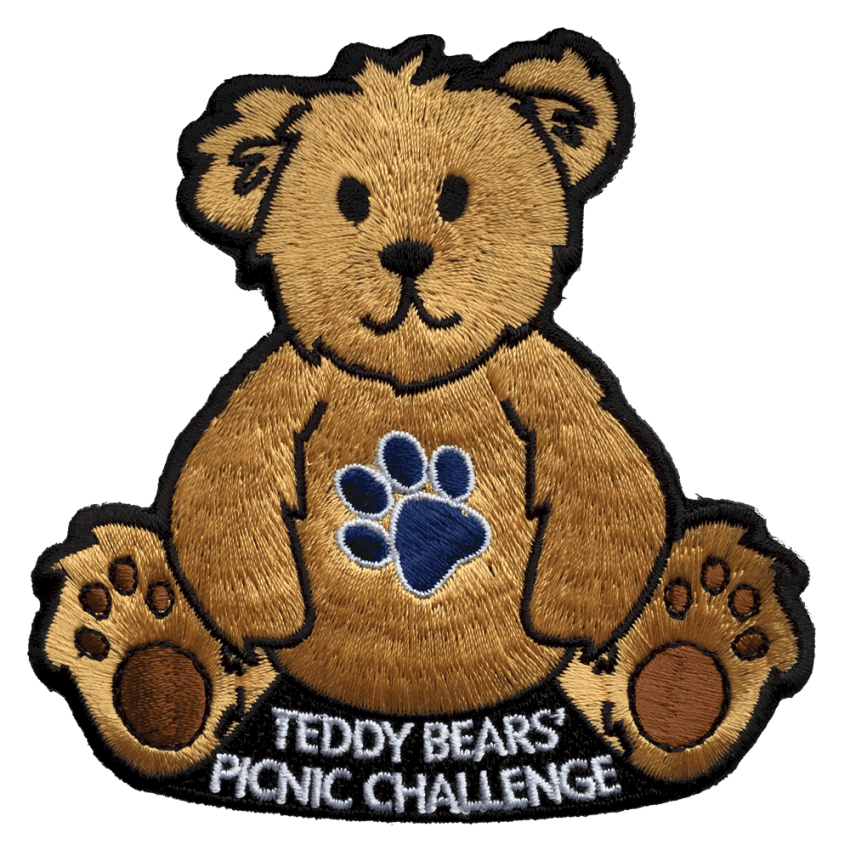 Photograph: Teddy Bears' Picnic Challenge