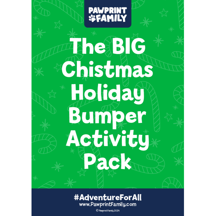 Photograph: The BIG Christmas Holiday Bumper Activity Pack