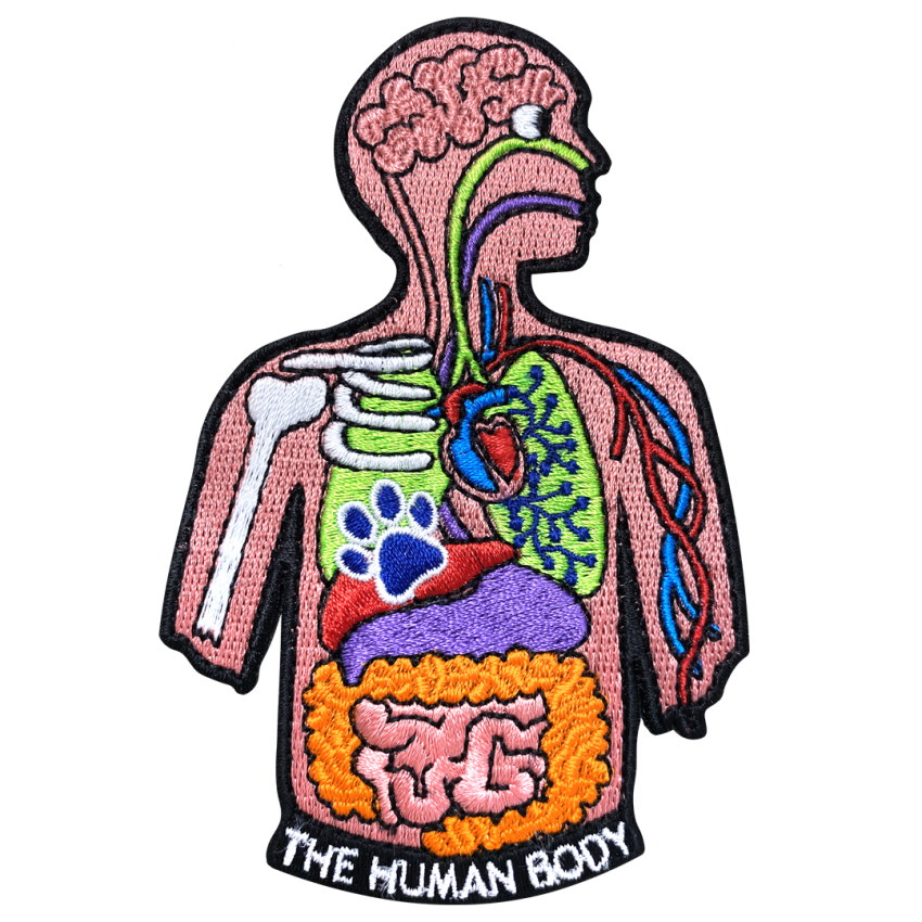 Photograph: The Human Body