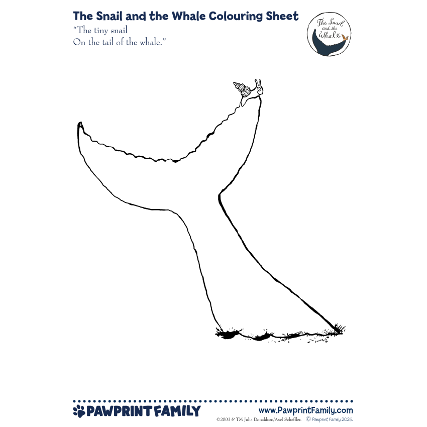 Photograph: The Snail and the Whale Colouring Sheet