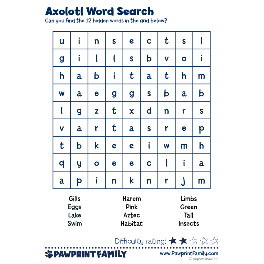 Photograph: Word Searches - Axolotl